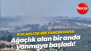 Kocaeli’de bir yangın daha; Ağaçlık alan bir anda yanmaya başladı!