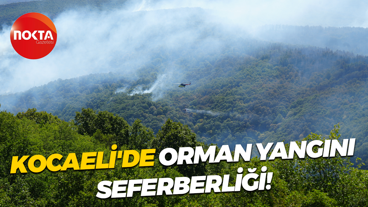 Kocaeli'de orman yangını seferberliği!