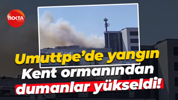 Umuttpe’de yangın.. Kent ormanından dumanlar yükseldi!