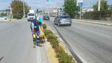 Salim Dervişoğlu Caddesi’nde sonbahar budaması