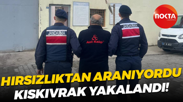 Hırsızlıktan aranıyordu, kıskıvrak yakalandı!