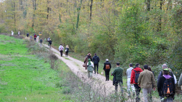 Uzmanlar eşliğinde mantar avına çıktılar!