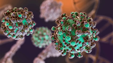 Dünyada Nipah Virüsü Alarmı! Nipah Virüsü Nedir? Nasıl Yayılır?