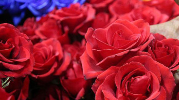 14 ŞUBAT SEVGİLİLER GÜNÜ HEDİYE FİKİRLERİ || Sevgililer Gününde Kadına Erkeğe Ne Alınır?