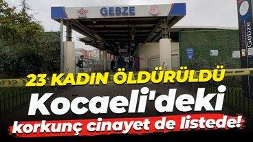 23 kadın öldürüldü... Kocaeli'deki korkunç cinayet de listede!