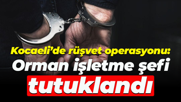 Kocaeli’de rüşvet operasyonu: Orman işletme şefi tutuklandı
