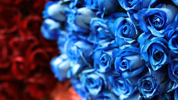 ANNELER GÜNÜ NE ZAMAN 2026? Anneler Günü Bu Yıl Hangi Güne Denk Geliyor?