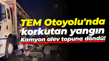 TEM Otoyolu'nda korkutan yangın... Kamyon alev topuna döndü!