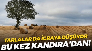 Kandıra’nın tarlaları bile icralık oldu! İşte detaylar