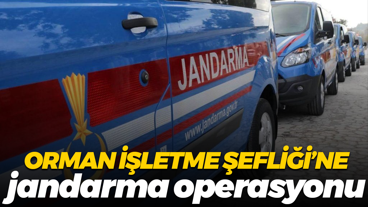 Orman İşletme Şefliği’ne jandarma operasyonu