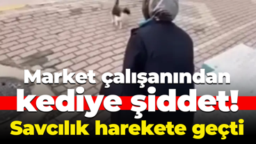 Market çalışanından kediye şiddet! Savcılık harekete geçti