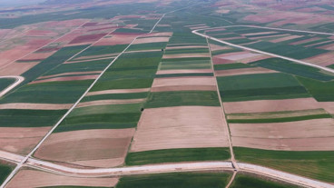 Kocaeli’nin taşı toprağı altın! 240 metrekarelik arsa 12 milyon lira