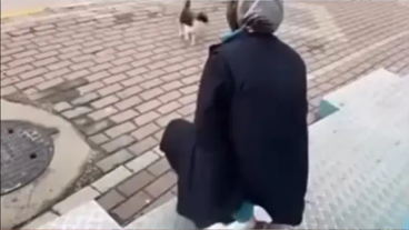 Kediye şiddet uygulamıştı! Şirketten açıklama geldİ