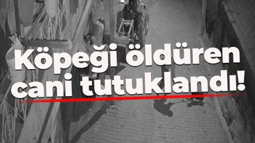 Köpeği öldüren cani tutuklandı!