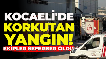 Kocaeli'de korkutan yangın! Ekipler seferber oldu