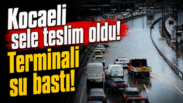 Kocaeli sele teslim oldu! Terminali su bastı!