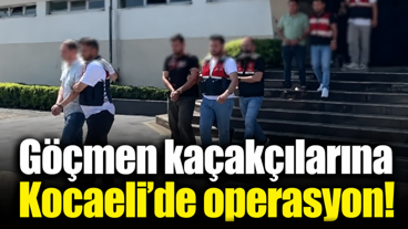 Göçmen kaçakçılarına Kocaeli’de operasyon!