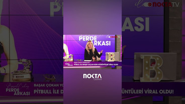 PİTBULL İLE DEHŞET SAÇAN KIZIN GÖRÜNTÜLERİ VİRAL OLDU