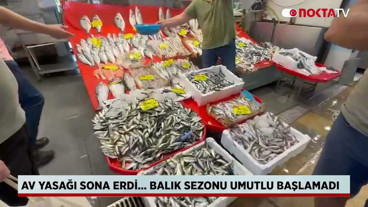 Av Yasağı Sona Erdi... Balık Sezonu Umutlu Başlamadı