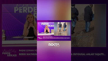 BEBEK MAYMUNUN  VİDEOSU SOSYAL MEDYADA DUYGUSAL ANLAR YAŞATTI