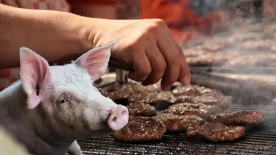 Domuz Eti Nasıl Anlaşılır? Domuz Eti Nasıl Ayırt Edilir?