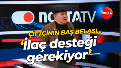 Yusuf Karaaslan: Kahverengi kokarcayı yok etmek için ilaç desteği gerekiyor