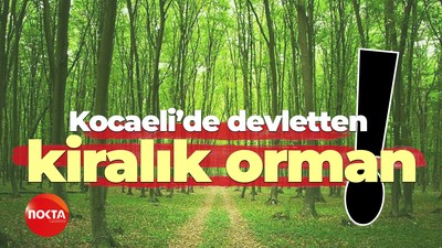 Kocaeli’de devletten kiralık orman!