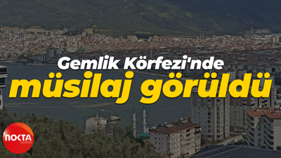 Gemlik Körfezi'nde müsilaj görüldü