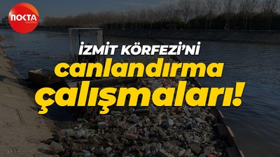 Kocaeli Büyükşehir Belediyesi İzmit Körfezi'ni koruma çalışmalarına devam ediyor!