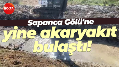 Sapanca Gölü'ne yine akaryakıt bulaştı!