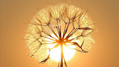 Bu yıl "en sıcak ikinci mart" ayı yaşandı