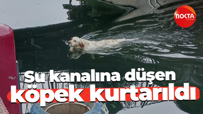 Su kanalına düşen köpek kurtarıldı