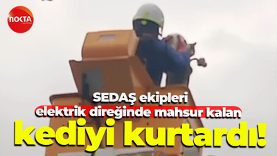 SEDAŞ ekipleri, elektrik direğinde mahsur kalan kediyi kurtardı!