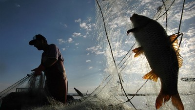 Balık Avı Yasağı Başladı Mı? Tatlı Su Balık Avı Yasağı Ne Zaman Başlayacak?