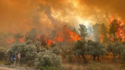 Muğla'da ormanlara giriş yasağı başladı!