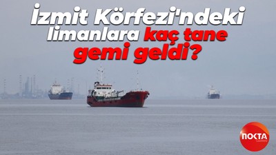 İzmit Körfezi'ndeki limanlara kaç tane gemi geldi?