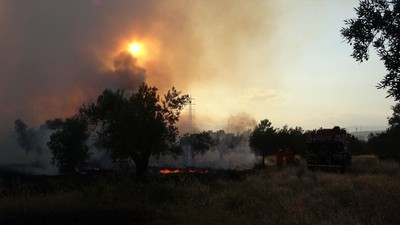 Zeytinpark'ta korkutan yangın