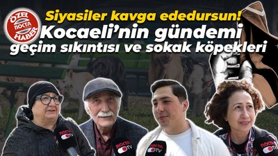 Siyasiler kavga ededursun! Kocaeli’nin gündemi geçim sıkıntısı ve sokak köpekleri