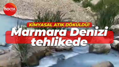 Marmara Denizi tehlikede!