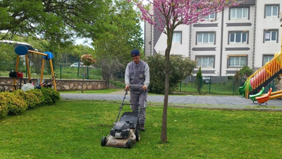 Körfez´de yabani otlarla mücadele başladı