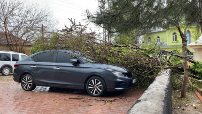 Fırtına ağaçları yerinden söktü! Araçlar hasar aldı