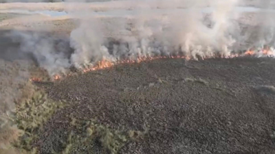 60 dönüm arazi yandı