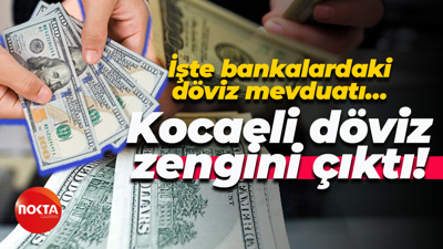 İşte bankalardaki döviz mevduatı… Kocaeli döviz zengini çıktı!