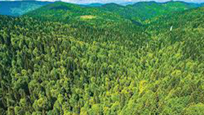 Valilik duyurdu... Girişler yasaklandı!