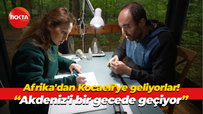 Afrika'dan Kocaeli'ye geliyorlar! "Akdeniz'i bir gecede geçiyor"