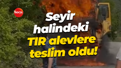Seyir halindeki TIR alevlere teslim oldu!