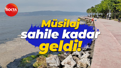 Müsilaj sahile kadar geldi!