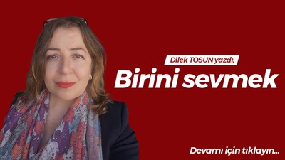 Birini sevmek