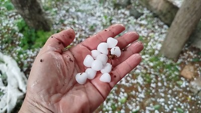 Fındık büyüklüğünde yağan dolu trafik kazasına neden oldu!