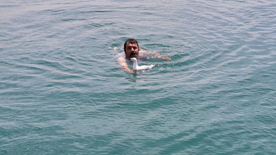 Adıyaman'da martı barajda mahsur kaldı!